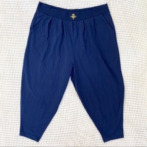 Vintage Forreli navy pants plus size 30/32W